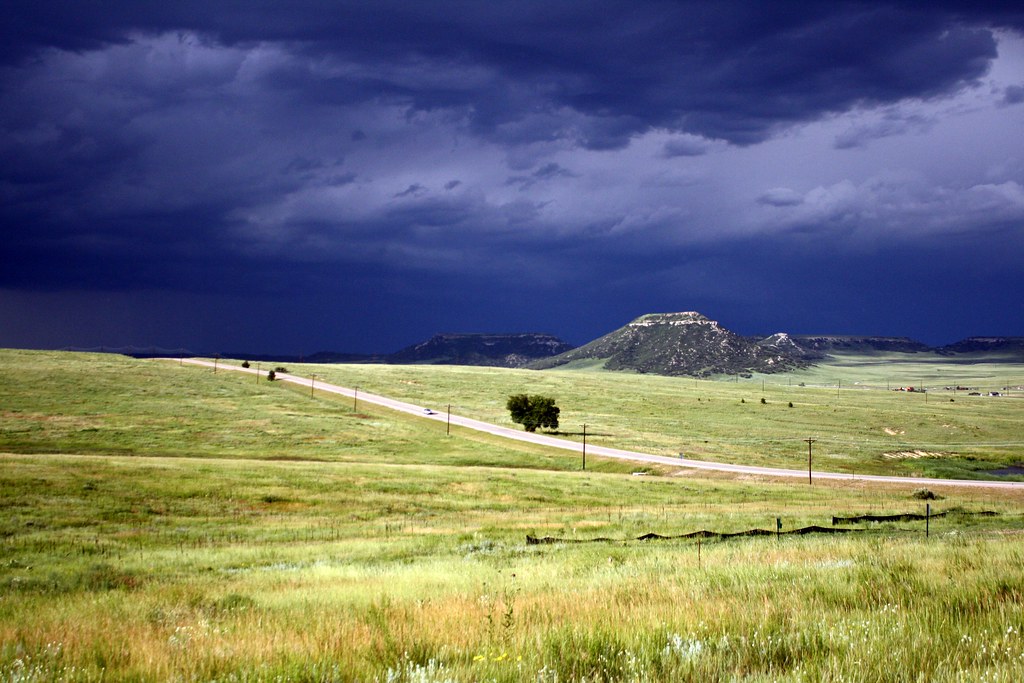Colorado Meadows